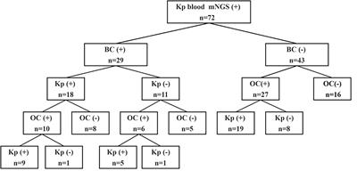 Performance of next-generation sequencing for diagnosis of blood infections by Klebsiella pneumoniae